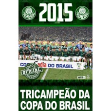 COLEÇÃO OFICIAL HISTÓRICA PALMEIRAS EDIÇÃO 20 - PÔSTER COPA DO BRASIL 2015