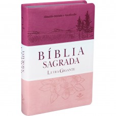 BIBLIA LT GIGANTE 3 CORES FEM