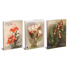 Orquídeas Ilustradas (Coleção 3 Volumes)