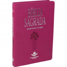 Bíblia Sagrada NAA: Almeida Revista e Corrigida (ARC)