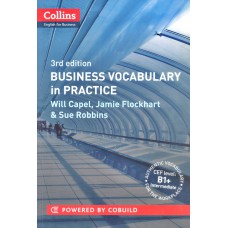 BUSINESS VOCABULARY IN PRACTICE