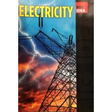 BIG IDEA: ELECTRICITY