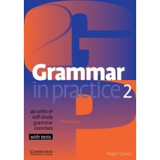 GRAMMAR IN PRACTICE 2