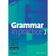 GRAMMAR IN PRACTICE 1