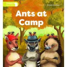 ANTS AT CAMP