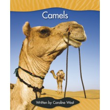 CAMELS