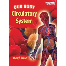 OUR BODY: CIRCULATORY SYSTEM