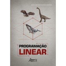 PROGRAMAÇÃO LINEAR