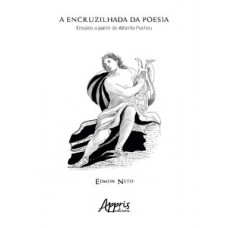 A ENCRUZILHADA DA POESIA: ENSAIOS A PARTIR DE ALBERTO PUCHEU