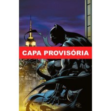 BATMAN ESPECIAL VOL. 13: EU SOU O BATMAN