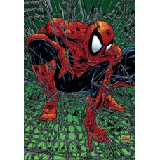 HOMEM-ARANHA: TORMENTO (MARVEL ESSENCIAIS)