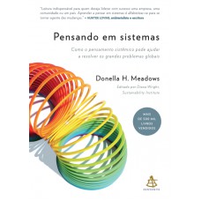 Pensando em sistemas: Como o pensamento sistêmico pode ajudar a resolver os grandes problemas globais