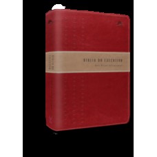 BIBLIA DO EXECUTIVO - NVI - CAPA LUXO - VINHO E PRATEADO