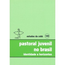 PASTORAL JUVENIL NO BRASIL: IDENTIDADE E HORIZONTES