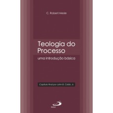 TEOLOGIA DO PROCESSO: UMA INTRODUÇÃO BÁSICA