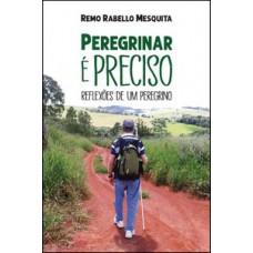 PEREGRINAR É PRECISO: REFLEXÕES DE UM PEREGRINO