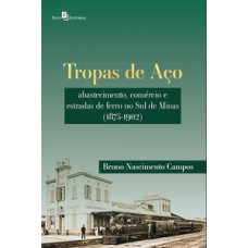 TROPAS DE AÇO: ABASTECIMENTO, COMÉRCIO E ESTRADAS DE FERRO NO SUL DE MINAS (1875-1902)