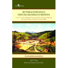 DE TERRAS INDÍGENAS À PRINCESA DA SERRA FLUMINENSE: O PROCESSO DE REALIZAÇÃO DA PROPRIEDADE CAFEEIRA EM VALENÇA (PROVÍNCIA DO RIO DE JANEIRO, SÉCULO XIX)