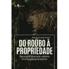 DO ROUBO À PROPRIEDADE: PROCESSOS DE APROPRIAÇÃO CAPITALISTA DE TERRAS PÚBLICAS NA AMAZÔNIA