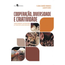 COOPERAÇÃO, DIVERSIDADE E CRIATIVIDADE: TRANSFORMAÇÕES SOCIOMATERIAIS EM TERRITÓRIOS LATINO-AMERICANOS