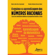 O ENSINO E A APRENDIZAGEM DOS NÚMEROS RACIONAIS: SUPERANDO OBSTÁCULOS DIDÁTICOS NA PERSPECTIVA HISTÓRICO-CRÍTICA