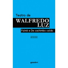 TEATRO DE WALFREDO LUZ