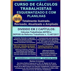 Curso de cálculos trabalhistas esquematizado e com planilhas: Ganhe 3 planilhas