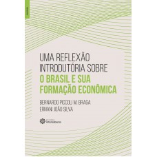 Uma reflexão introdutória sobre o Brasil e sua formação econômica