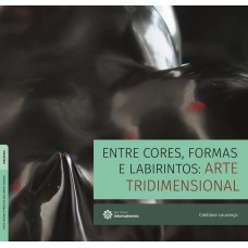 Entre cores, formas e labirintos: arte tridimensional