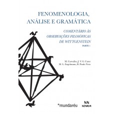 Fenomenologia, análise e gramática: Comentário às observações filosóficas de Wittgenstein