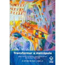 Transformar a metrópole: Igreja católica, territórios e mobilizações sociais em São Paulo 1970 - 2000