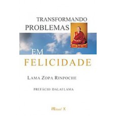 TRANSFORMANDO PROBLEMAS EM FELICICIDADE