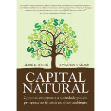 Capital natural: Como as empresas e a sociedade podem prosperar ao investir no meio ambiente