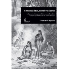 NEM CIDADÃOS, NEM BRASILEIROS: INDÍGENAS NA FORMAÇÃO DO ESTADO NACIONAL BRASILEIRO E CONFLITOS NA PROVÍNCIA DE SÃO PAULO (1822-1845)