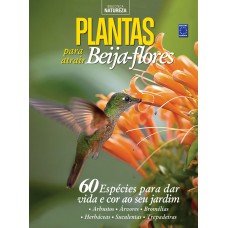 Especial Natureza - Plantas para atrair beija-flores