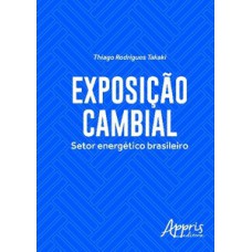 EXPOSIÇÃO CAMBIAL: SETOR ENERGÉTICO BRASILEIRO