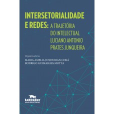 Intersetorialidade e redes: A trajetória do intelectual Luciano Antonio Prates Junqueira