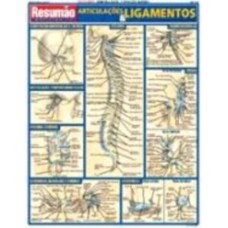 RESUMAO - ARTICULAÇOES & LIGAMENTOS