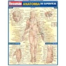 RESUMAO - ANATOMIA DE SUPERFICIE