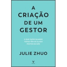 A CRIAÇÃO DE UM GESTOR:  O QUE FAZER QUANDO TODOS TÊM OS OLHOS POSTOS EM NÓS